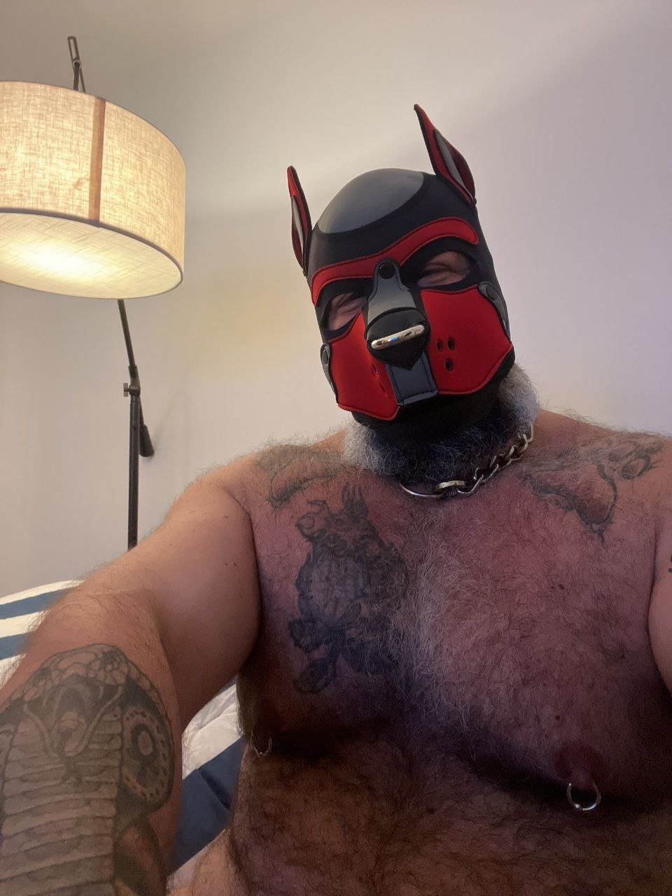 Photo 2025 12 14 19 35 37