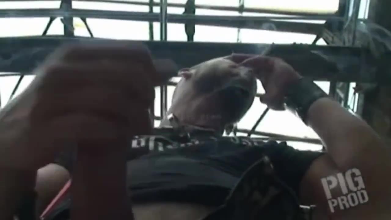 Poz Group TG Downloader 24