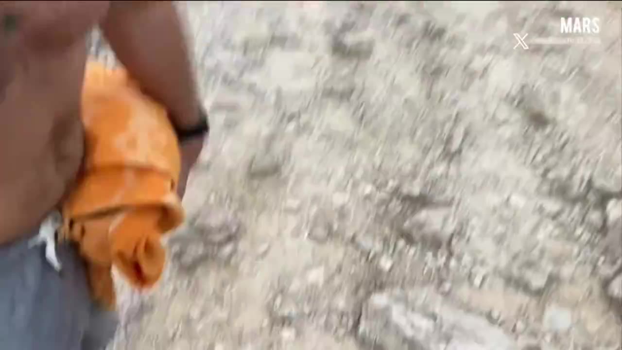 Twitter 1830709926265790847 0